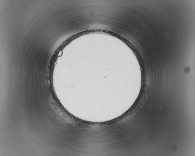 X0000112141022200909181353