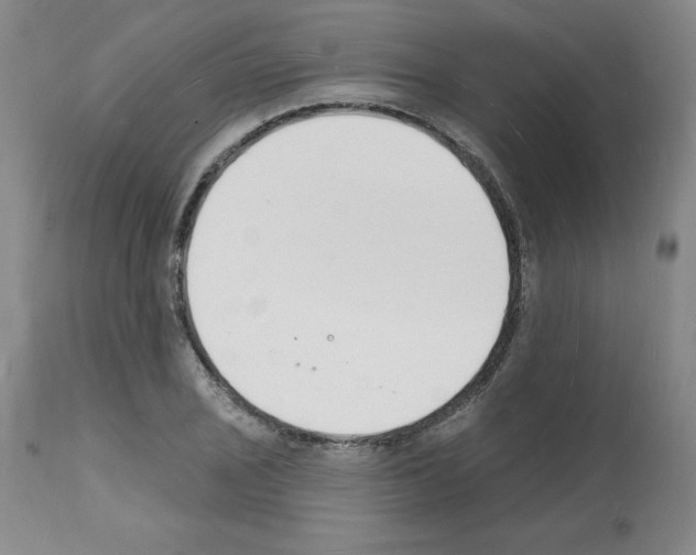 X0000112141029200909181353