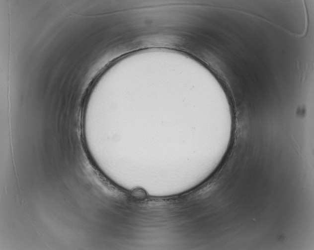 X0000112141035200909181354