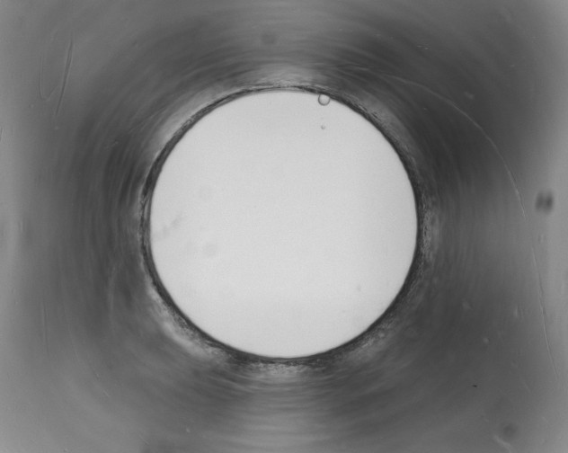 X0000112141039200909181354