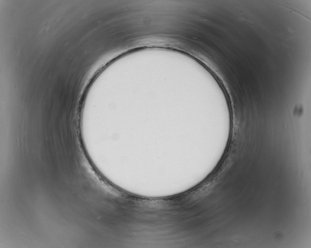 X0000112141045200909181354