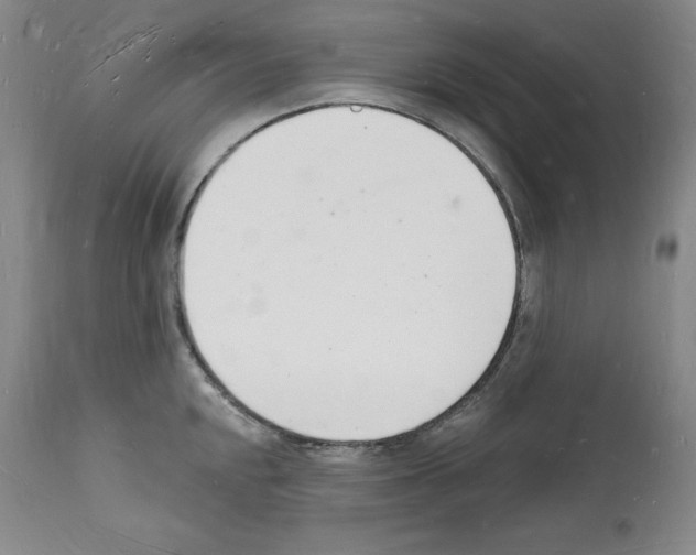 X0000112141048200909181354