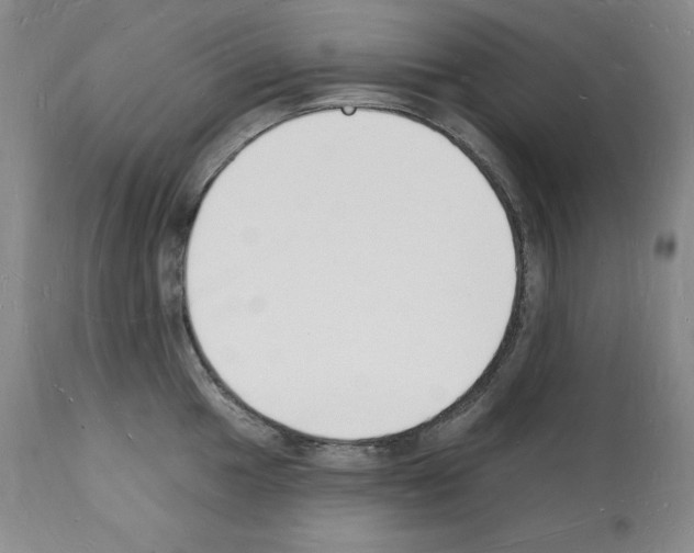 X0000112141049200909181354