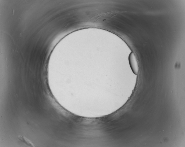 X0000112141056200909181354