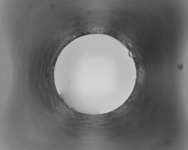 X0000112141057200909181353