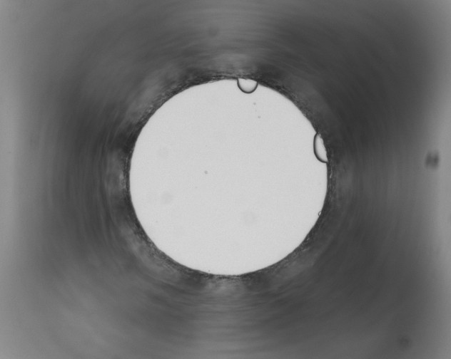 X0000112141058200909181353