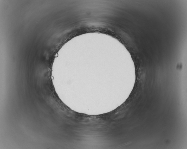 X0000112141061200909181353