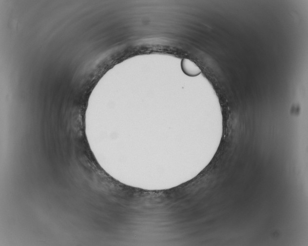 X0000112141062200909181353