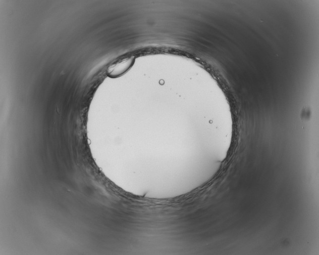 X0000112141064200909181353