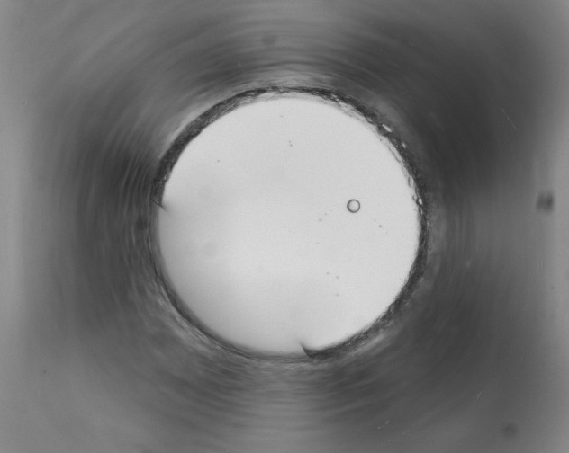 X0000112141065200909181353