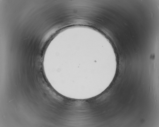 X0000112141067200909181353