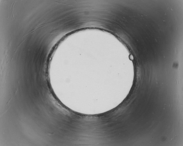 X0000112141068200909181353