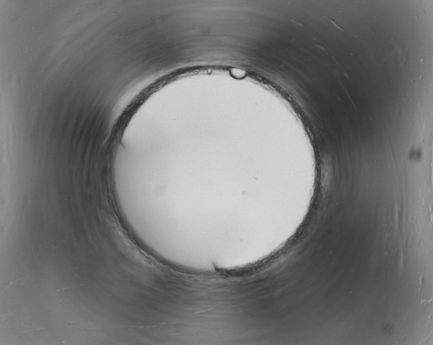 X0000112141069200909181353