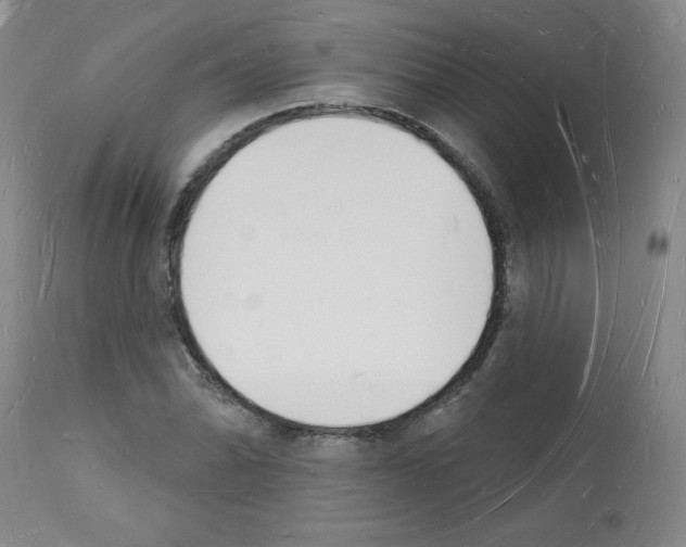 X0000112141070200909181353