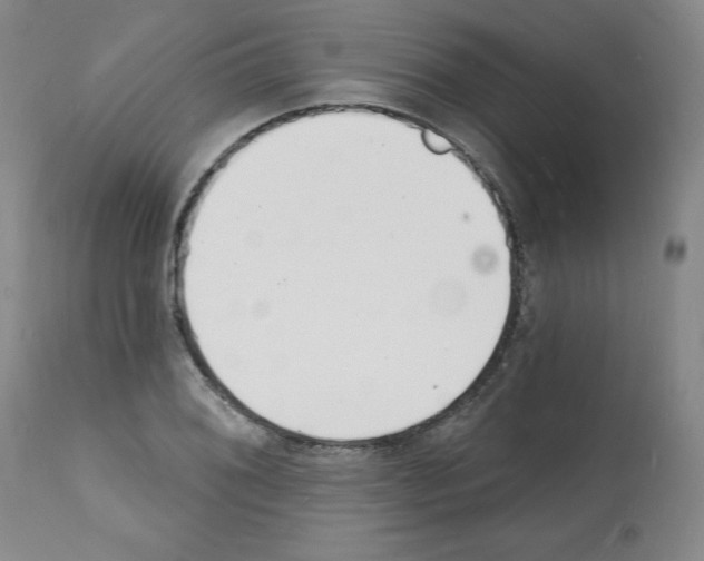 X0000112141076200909181353