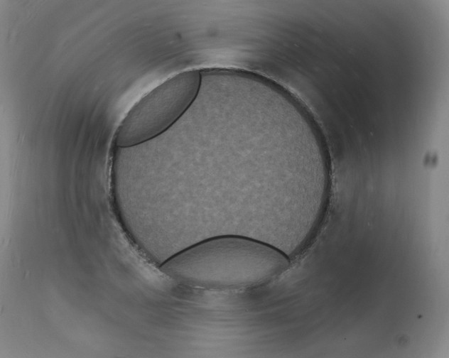 X0000112141077200909181353