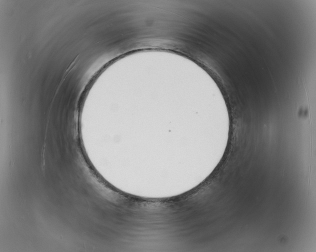 X0000112141079200909181353