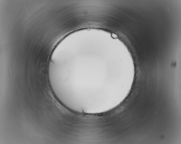 X0000112141081200909181353