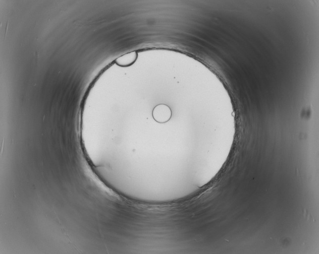 X0000112141084200909181353