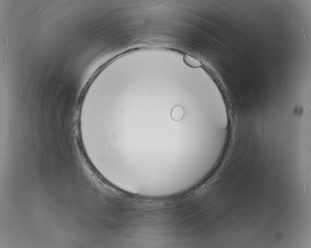 X0000112141085200909181353