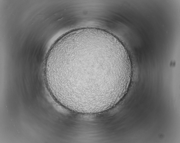 X0000112141086200909181353