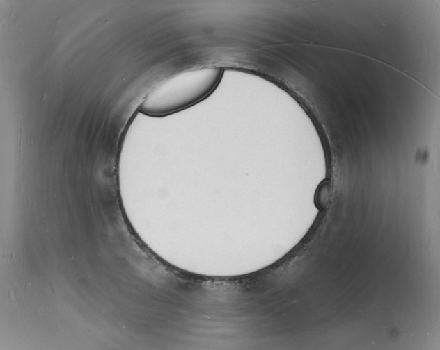 X0000112141089200909181353