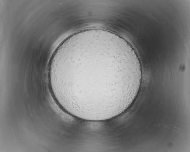 X0000112141090200909181353