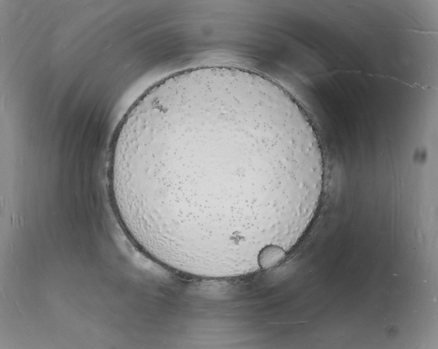 X0000112141094200909181353