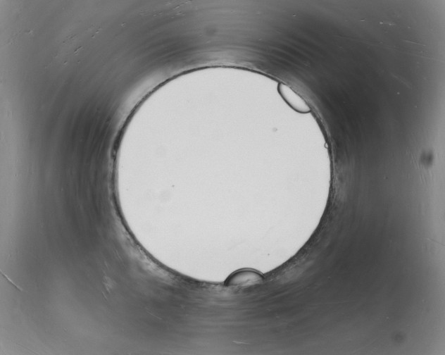 X0000112141096200909181353