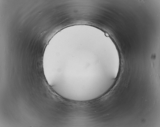 X0000112141097200909181353