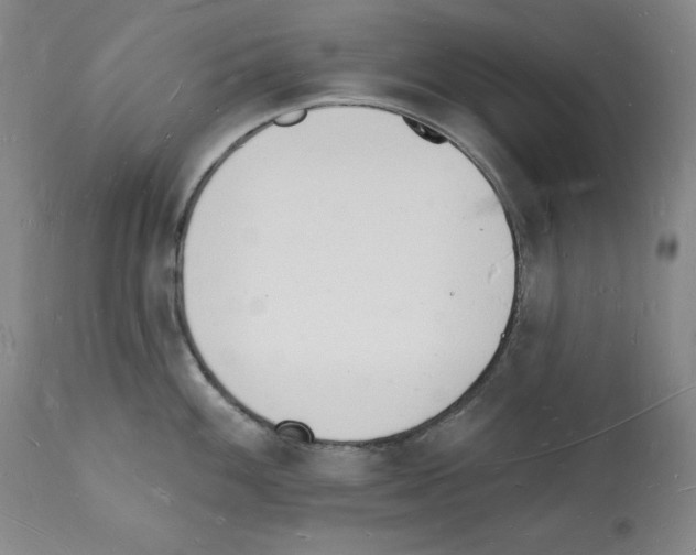 X0000112141100200909181353