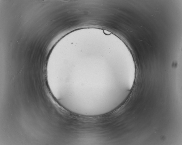 X0000112141101200909181353