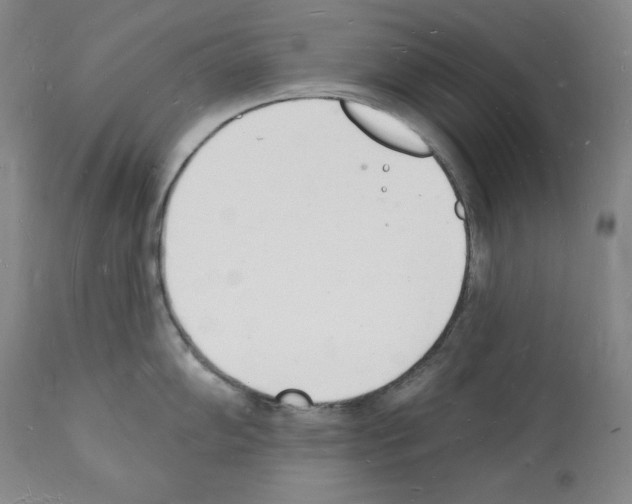 X0000112141102200909181353