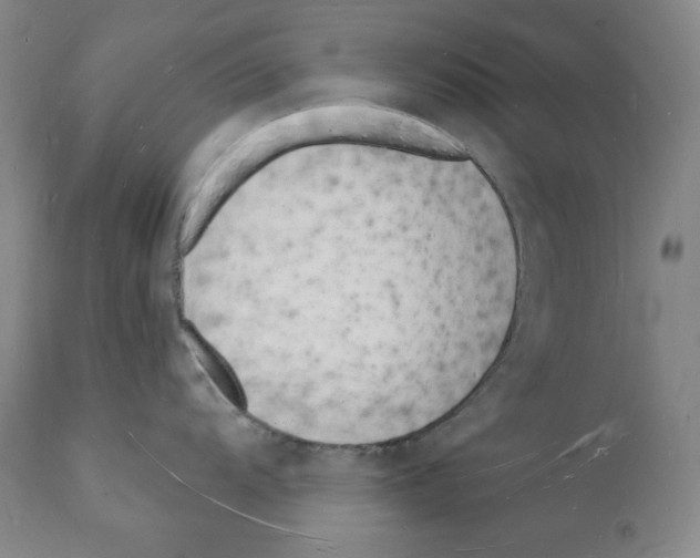 X0000112141104200909181353