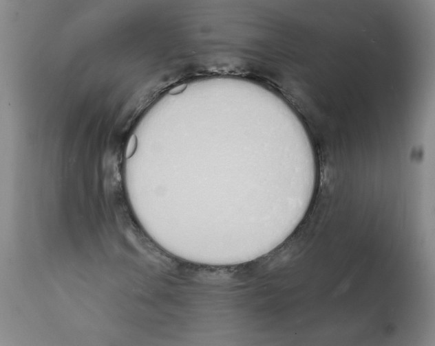 X0000112141106200909181352