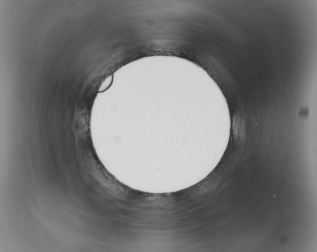 X0000112141107200909181352