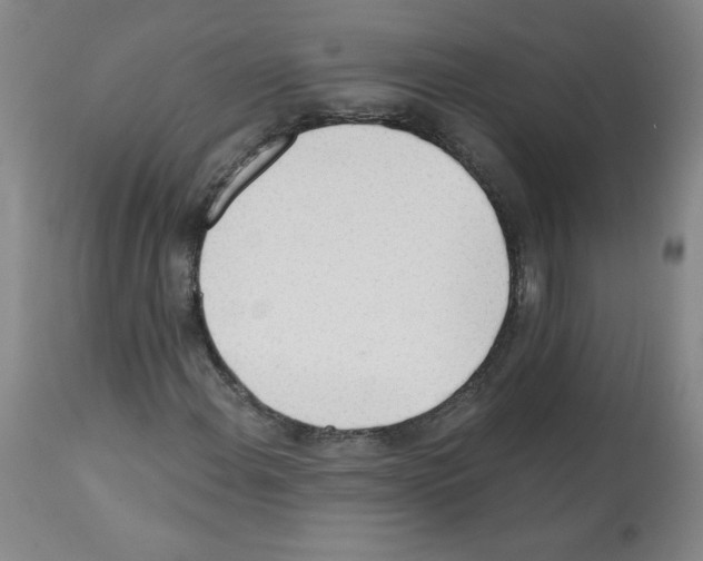 X0000112141108200909181352