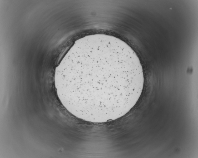 X0000112141110200909181352