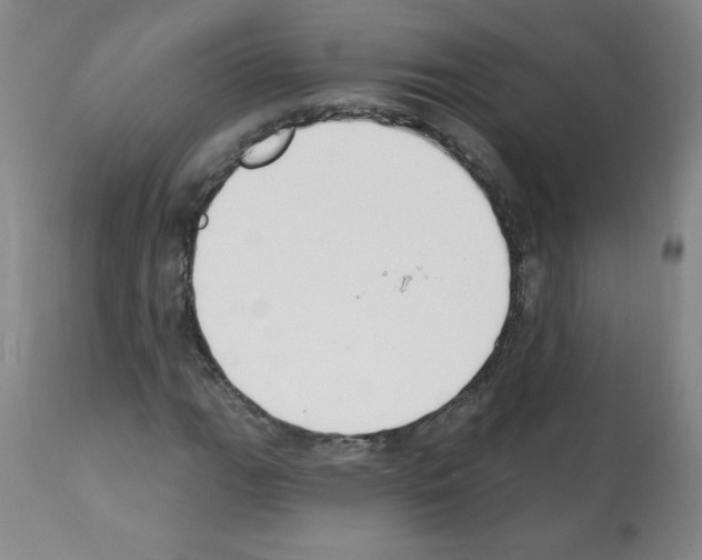 X0000112141111200909181352