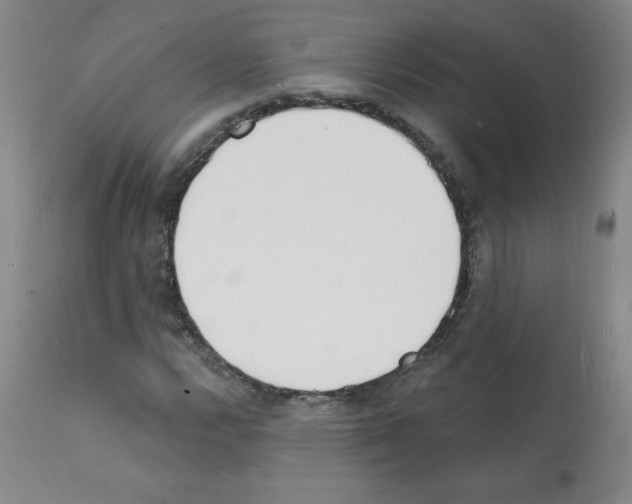 X0000112141112200909181352