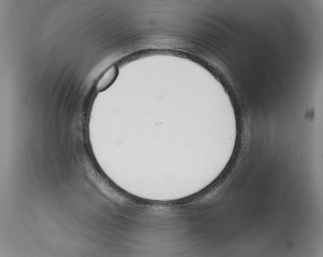 X0000112141114200909181352