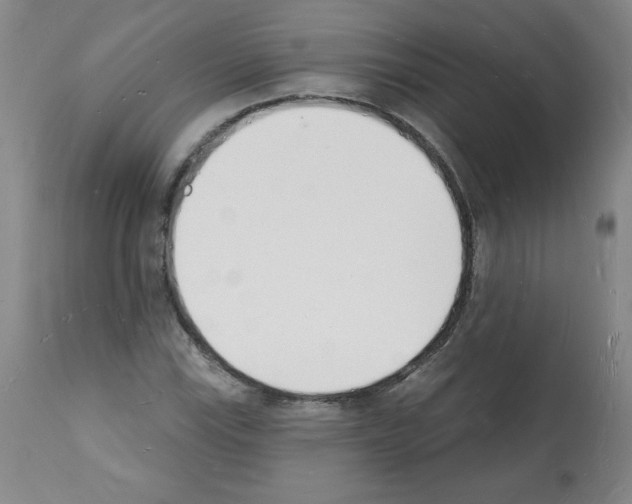 X0000112141115200909181352