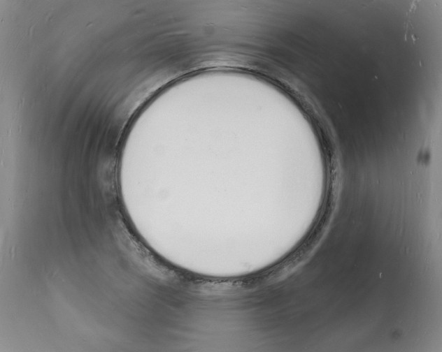 X0000112141121200909181352