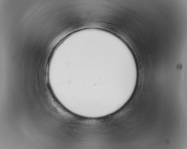 X0000112141127200909181352