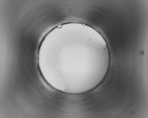 X0000112141128200909181352