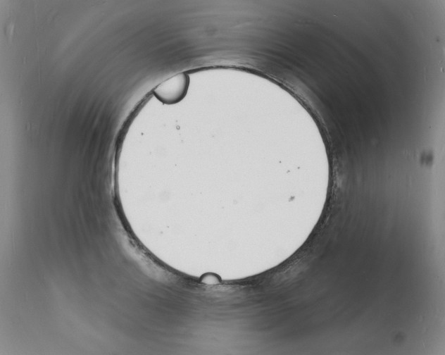 X0000112141132200909181352