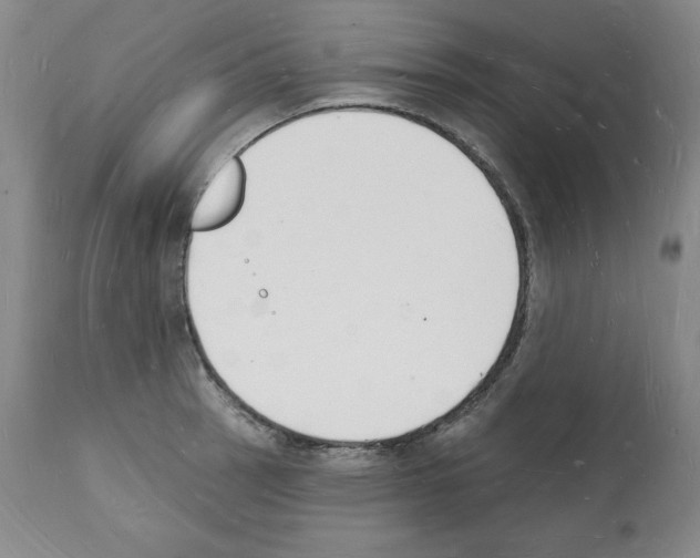 X0000112141137200909181352