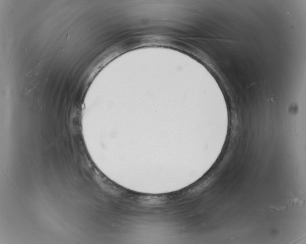 X0000112141145200909181352