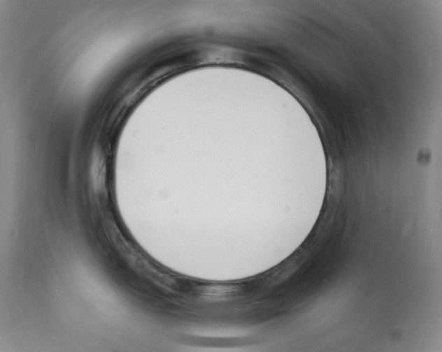 X0000112141151200909181353