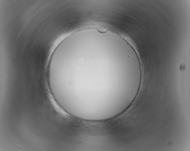 X0000112141152200909181353